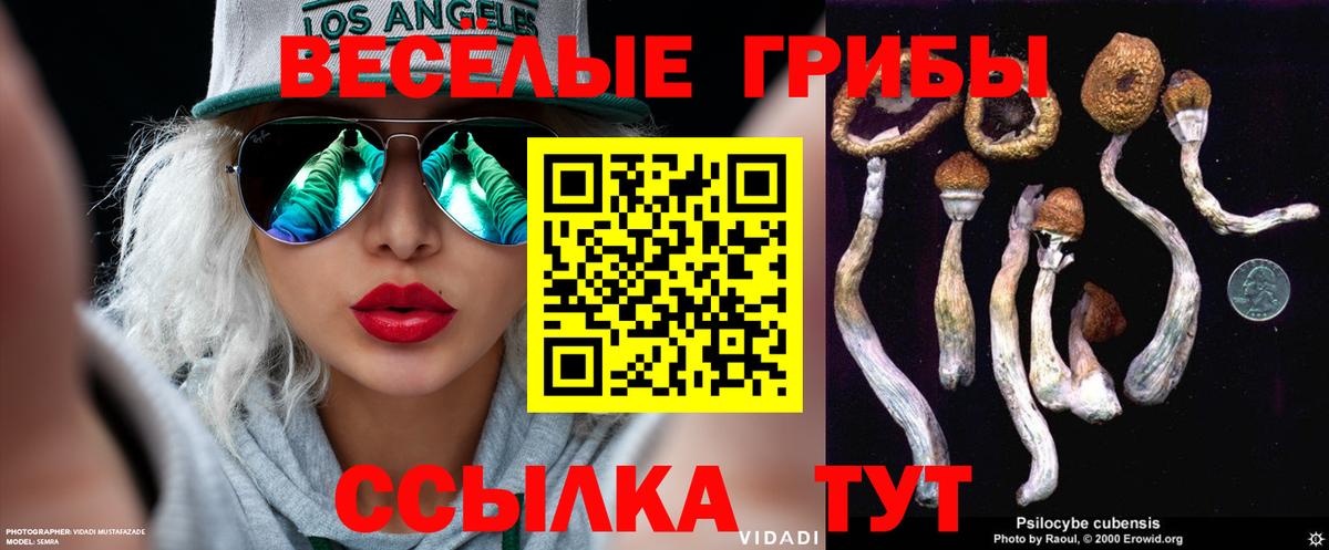 Псилоцибиновые грибы Cubensis Дзержинский