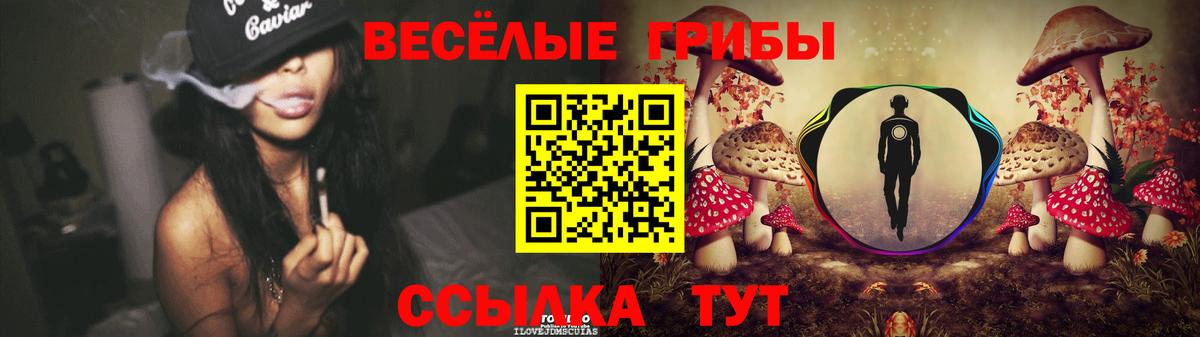 Галлюциногенные грибы GOLDEN TEACHER  Псилоцибиновые грибы Magic Shrooms  Дзержинский  Вход с VPN 